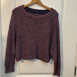 Express cropped sweater